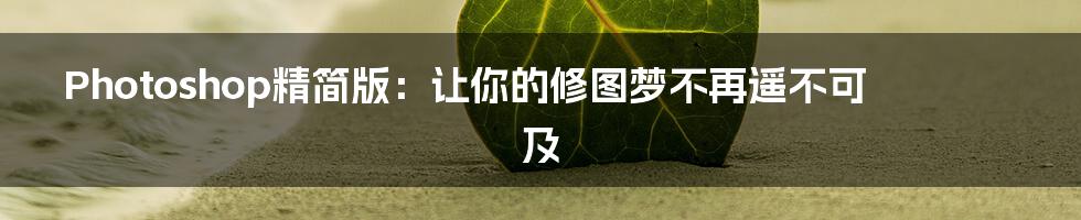 Photoshop精简版：让你的修图梦不再遥不可及