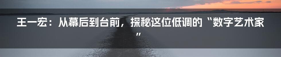 王一宏:从幕后到台前,探秘这位低调的“数字艺术家”