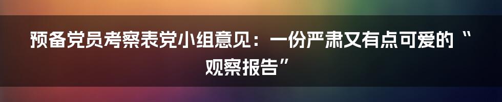 预备党员考察表党小组意见:一份严肃又有点可爱的“观察报告”