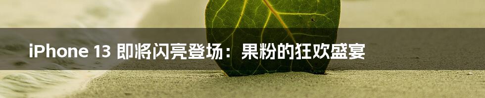 iPhone 13 即将闪亮登场:果粉的狂欢盛宴