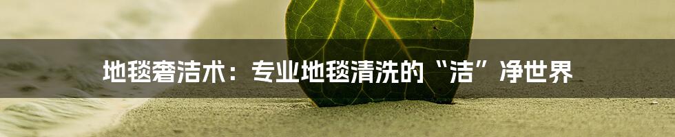地毯奢洁术:专业地毯清洗的“洁”净世界