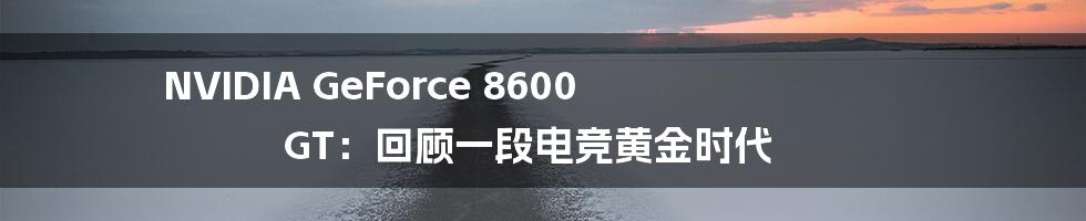 NVIDIA GeForce 8600 GT:回顾一段电竞黄金时代