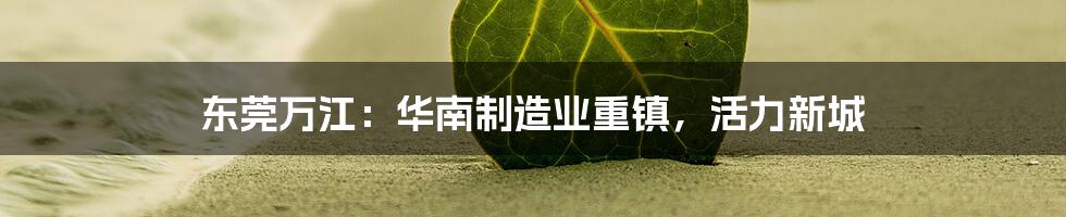 东莞万江：华南制造业重镇，活力新城