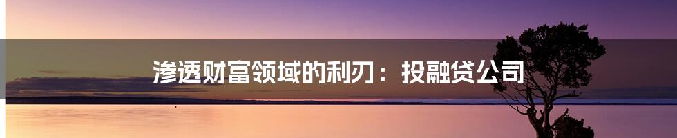 渗透财富领域的利刃：投融贷公司