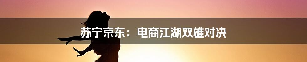 苏宁京东:电商江湖双雄对决