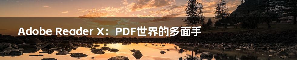 Adobe Reader X：PDF世界的多面手