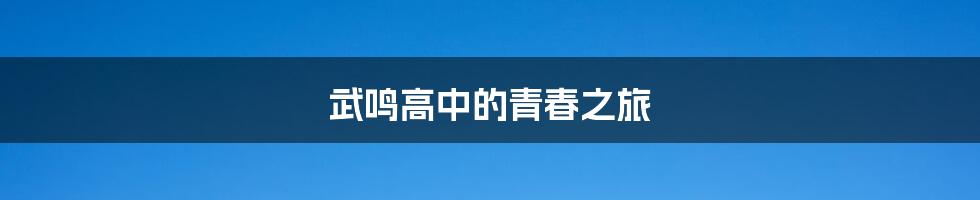 武鸣高中的青春之旅