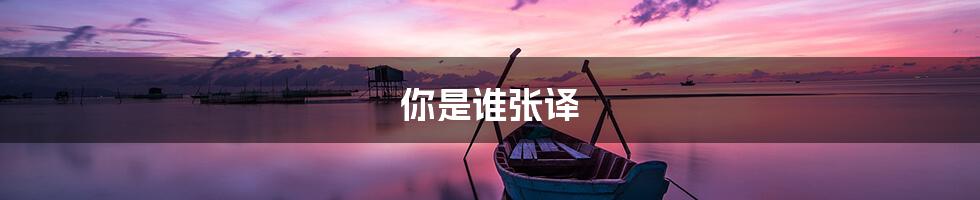 你是谁张译