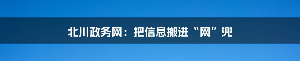 北川政务网：把信息搬进“网”兜