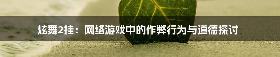 炫舞2挂:网络游戏中的作弊行为与道德探讨