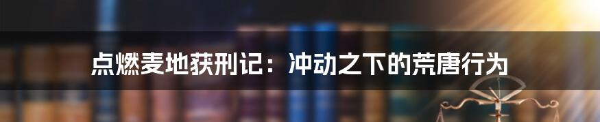 点燃麦地获刑记：冲动之下的荒唐行为