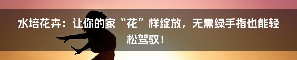 水培花卉：让你的家“花”样绽放，无需绿手指也能轻松驾驭！