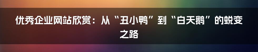 优秀企业网站欣赏:从“丑小鸭”到“白天鹅”的蜕变之路