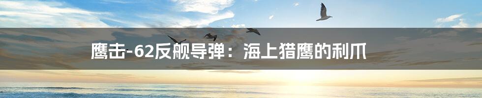 鹰击-62反舰导弹：海上猎鹰的利爪