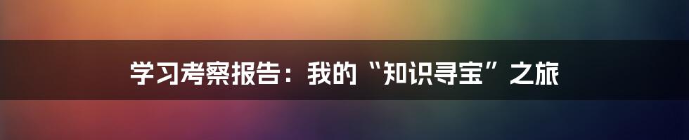 学习考察报告：我的“知识寻宝”之旅