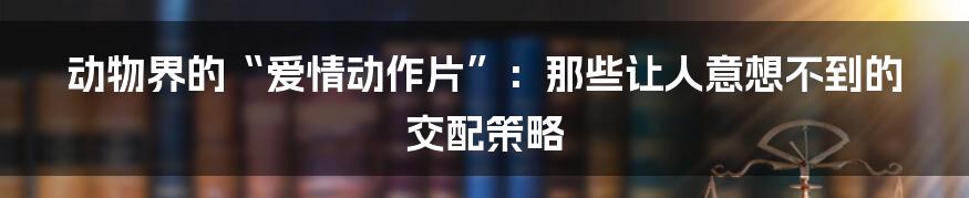 动物界的“爱情动作片”：那些让人意想不到的交配策略