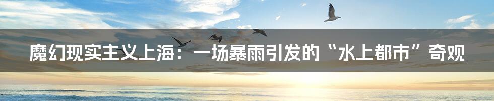 魔幻现实主义上海:一场暴雨引发的“水上都市”奇观