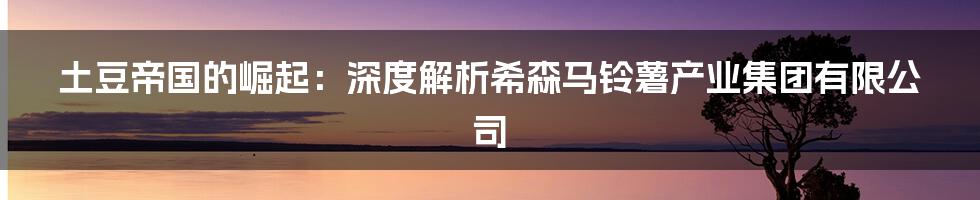 土豆帝国的崛起:深度解析希森马铃薯产业集团有限公司