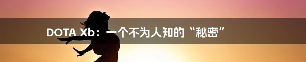 DOTA Xb：一个不为人知的“秘密”