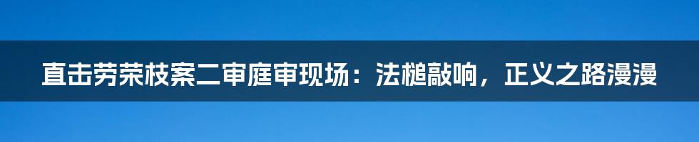 直击劳荣枝案二审庭审现场：法槌敲响，正义之路漫漫