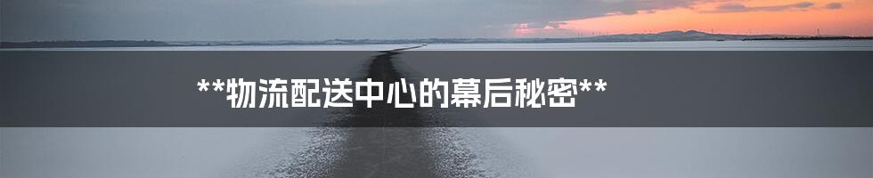 **物流配送中心的幕后秘密**