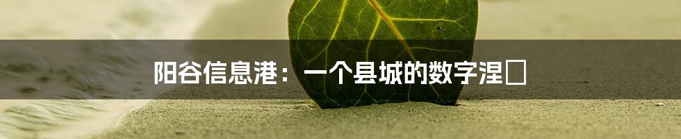 阳谷信息港:一个县城的数字涅槃