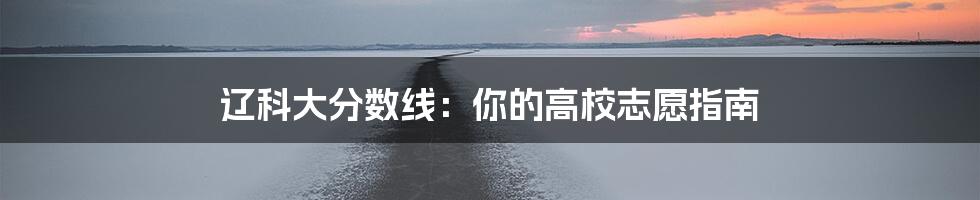 辽科大分数线：你的高校志愿指南
