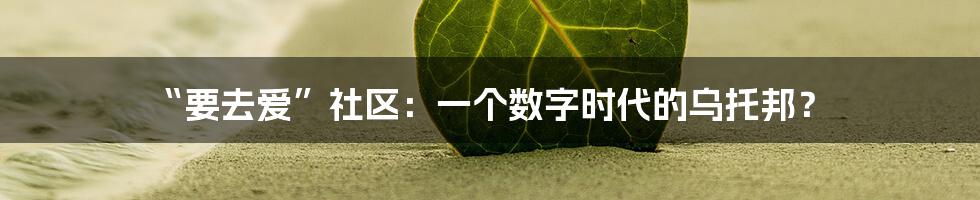 “要去爱”社区:一个数字时代的乌托邦?