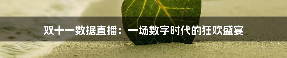 双十一数据直播:一场数字时代的狂欢盛宴