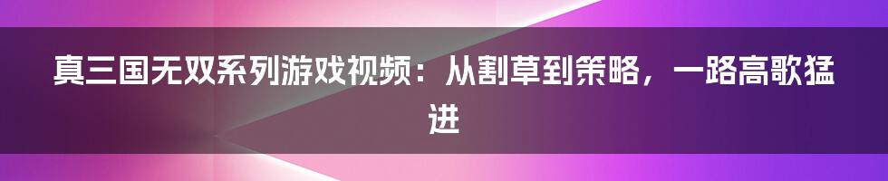 真三国无双系列游戏视频:从割草到策略,一路高歌猛进
