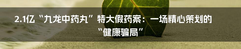 2.1亿“九龙中药丸”特大假药案:一场精心策划的“健康骗局”