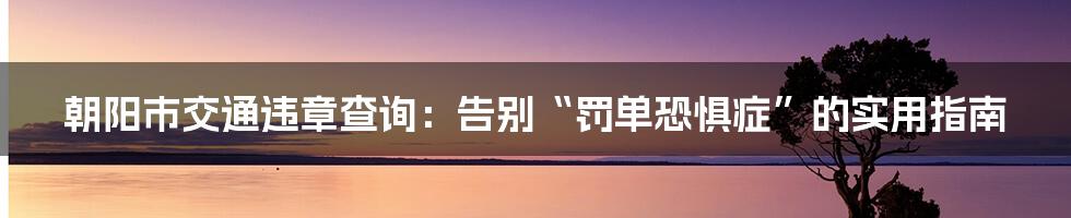 朝阳市交通违章查询:告别“罚单恐惧症”的实用指南