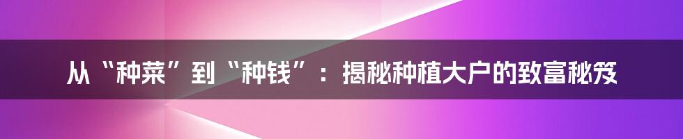 从“种菜”到“种钱”:揭秘种植大户的致富秘笈
