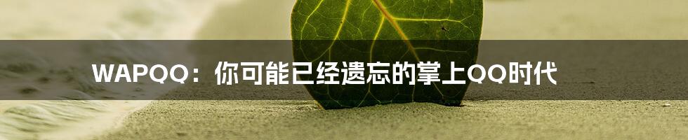 WAPQQ:你可能已经遗忘的掌上QQ时代