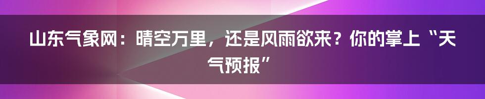 山东气象网:晴空万里,还是风雨欲来?你的掌上“天气预报”