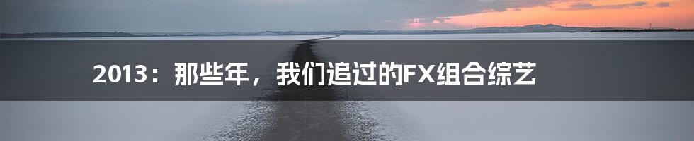 2013：那些年，我们追过的FX组合综艺