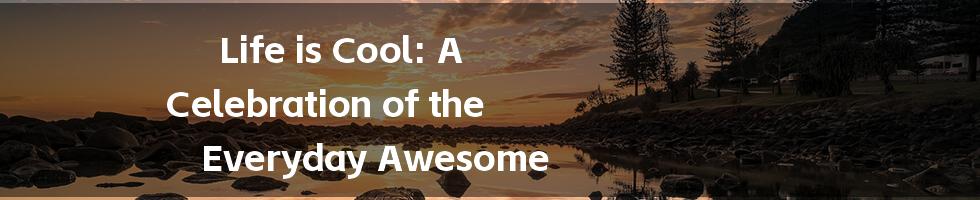 Life is Cool: A Celebration of the Everyday Awesome