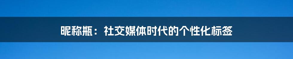 昵称瓶:社交媒体时代的个性化标签