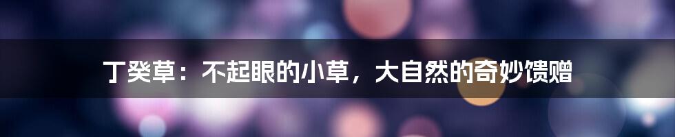 丁癸草:不起眼的小草,大自然的奇妙馈赠