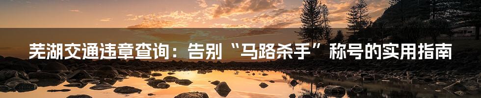 芜湖交通违章查询：告别“马路杀手”称号的实用指南