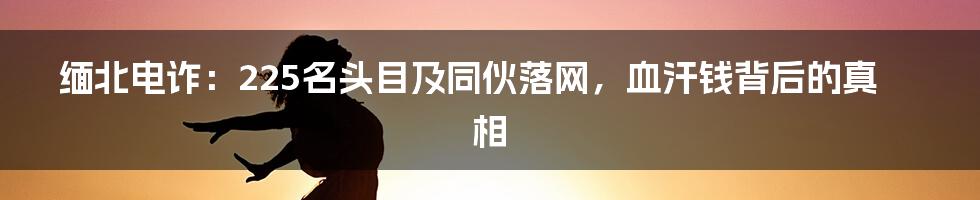 缅北电诈:225名头目及同伙落网,血汗钱背后的真相