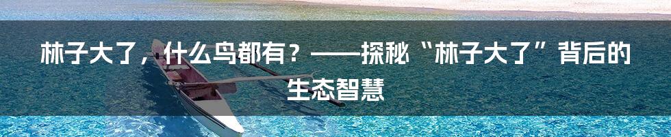 林子大了,什么鸟都有?——探秘“林子大了”背后的生态智慧
