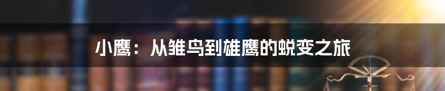小鹰：从雏鸟到雄鹰的蜕变之旅
