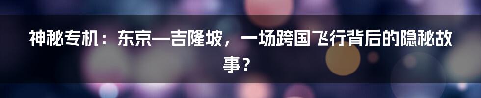 神秘专机:东京—吉隆坡,一场跨国飞行背后的隐秘故事?