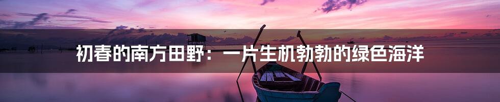 初春的南方田野:一片生机勃勃的绿色海洋