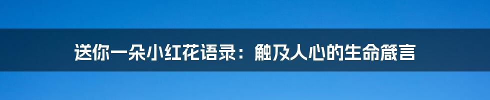 送你一朵小红花语录：触及人心的生命箴言