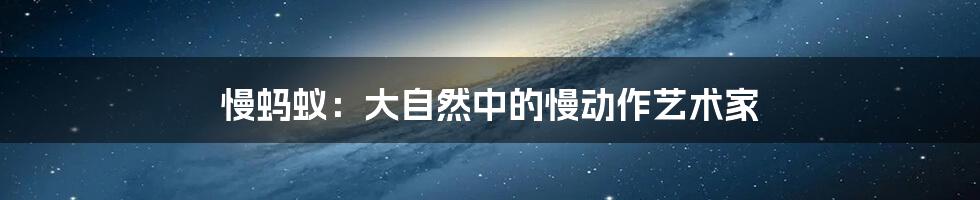 慢蚂蚁：大自然中的慢动作艺术家