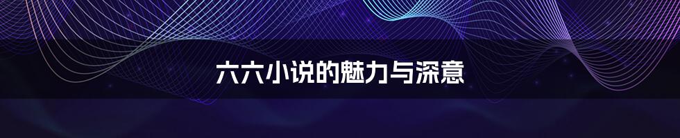 六六小说的魅力与深意