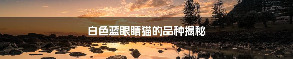 白色蓝眼睛猫的品种揭秘
