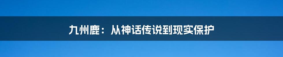 九州鹿：从神话传说到现实保护
